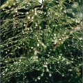 011-07