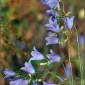 011-25