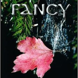 02-fancy