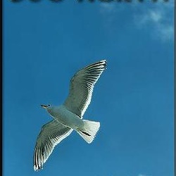 03-due-north