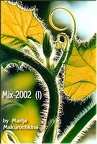 06-mix-2002