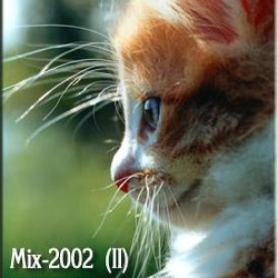 07-mix-2002