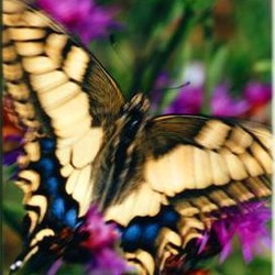 08-mix-2002