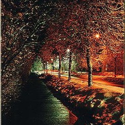 09-nocturne