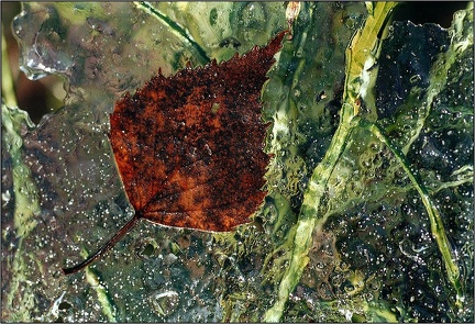 021-06