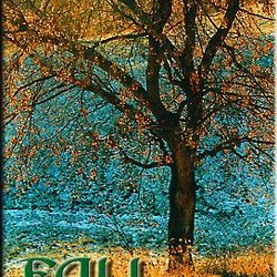 14-fall
