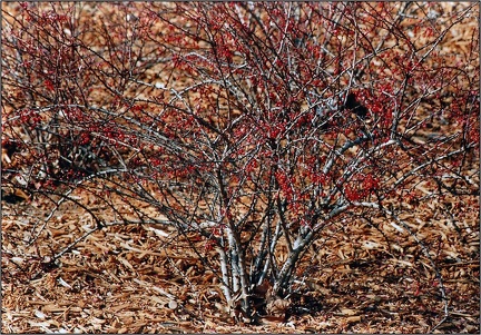 024-05