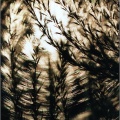 025-01