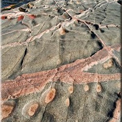 19-ladoga