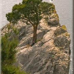 21-crimea-shore