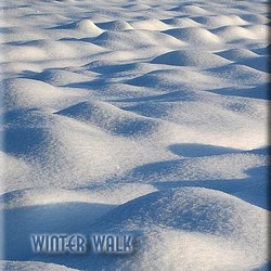 22-winter-walk