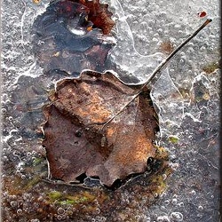 24-embedded