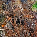 036-19