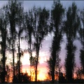 038-04