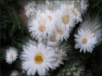 040-06