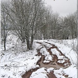 33-pre-winter