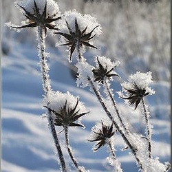 34-winter-walk
