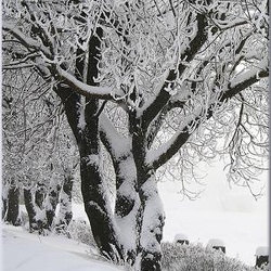 35-february