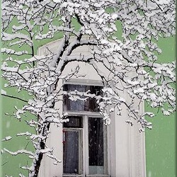 36-winter-in-town