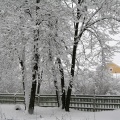 046-03