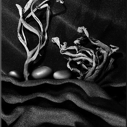 37-black-things