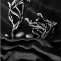 047-00