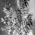 048-02