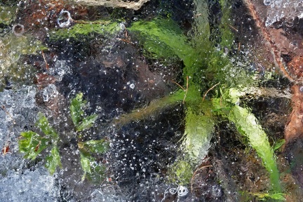 050-04