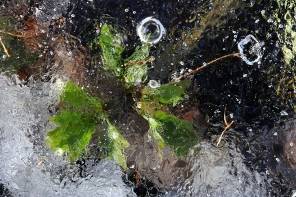 050-05