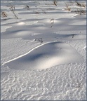 41-winter-textures