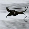 057-05