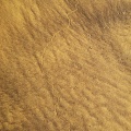 058-05