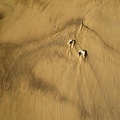 058-06