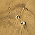 058-07